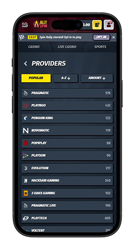 Szolgáltatók az AllySpin kaszinóban