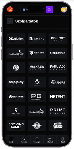 A kaszinó szolgáltatói