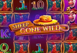 Sheep Gone Wild