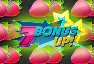 7 bonus up!