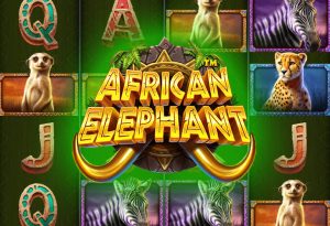 African Elephant