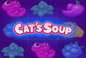 Cat&8217;s Soup