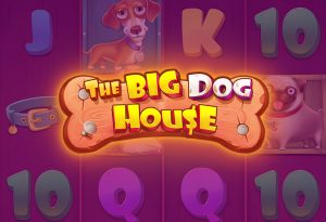 The Big Dog House