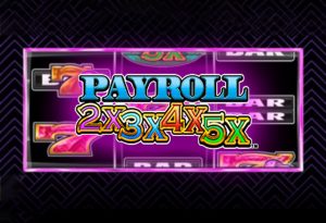 Payroll 2x3x4x5x