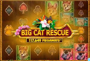 Big Cat Rescue MegaWays