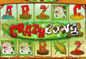 Crazy Cows